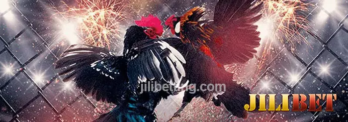 JILIBET online sabong